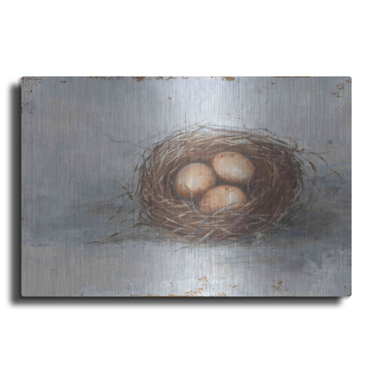 Luxe Metal Art 'Rustic Bird Nest II' by Ethan Harper Metal Wall Art