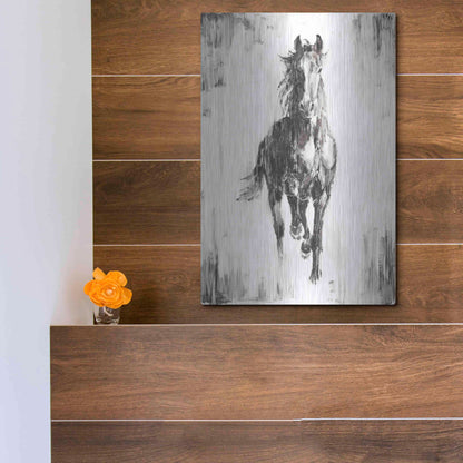 Luxe Metal Art 'Rustic Black Stallion I' by Ethan Harper Metal Wall Art,12x16