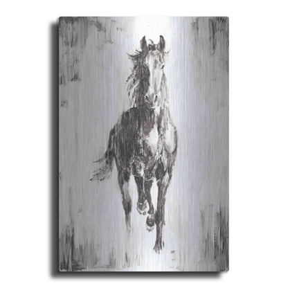 Luxe Metal Art 'Rustic Black Stallion I' by Ethan Harper Metal Wall Art