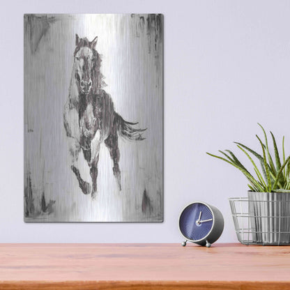 Luxe Metal Art 'Rustic Black Stallion II' by Ethan Harper Metal Wall Art,12x16