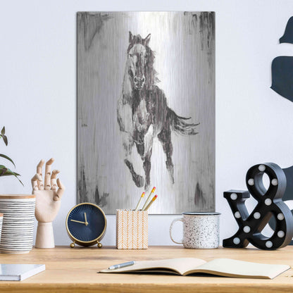 Luxe Metal Art 'Rustic Black Stallion II' by Ethan Harper Metal Wall Art,12x16