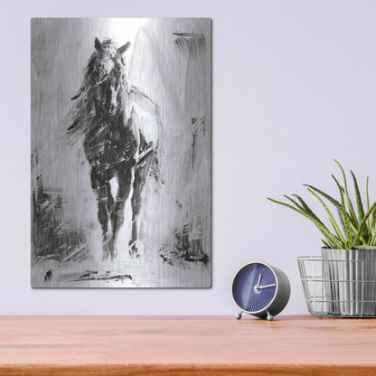 Luxe Metal Art 'Rustic Stallion II' by Ethan Harper Metal Wall Art,12x16