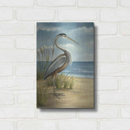 Luxe Metal Art 'Shore Bird I' by Ethan Harper Metal Wall Art,12x16