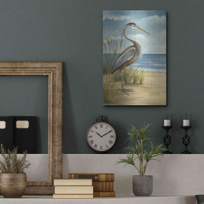 Luxe Metal Art 'Shore Bird I' by Ethan Harper Metal Wall Art,12x16