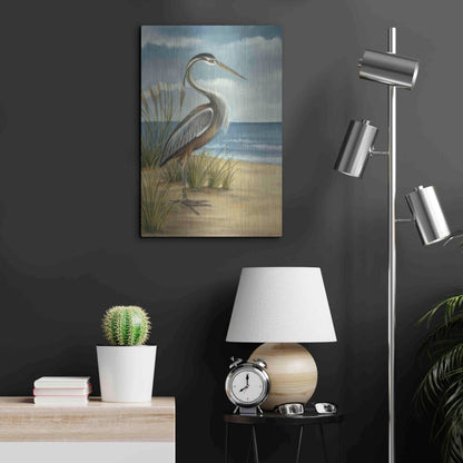 Luxe Metal Art 'Shore Bird I' by Ethan Harper Metal Wall Art,16x24