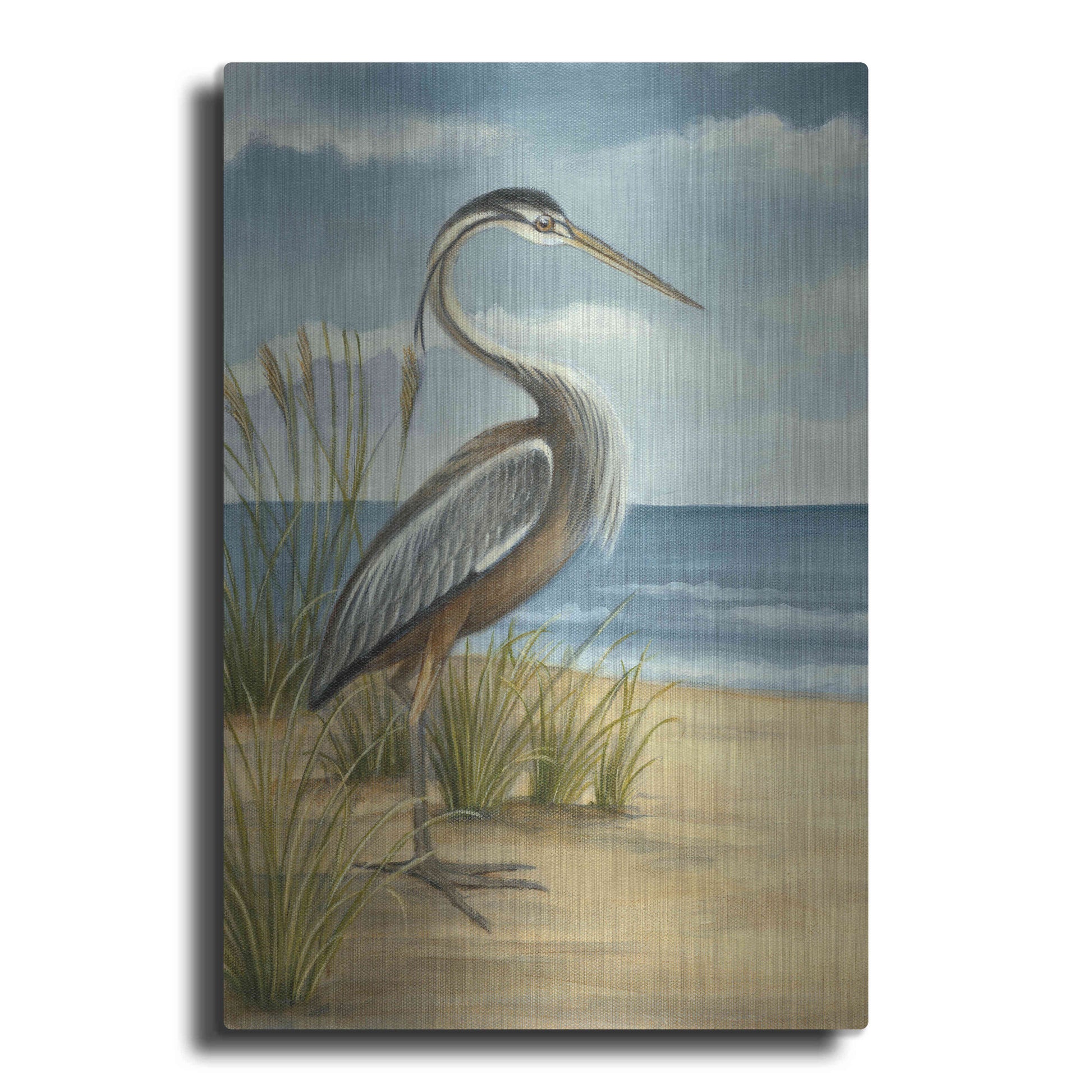 Luxe Metal Art 'Shore Bird I' by Ethan Harper Metal Wall Art