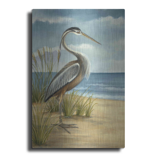 Luxe Metal Art 'Shore Bird I' by Ethan Harper Metal Wall Art