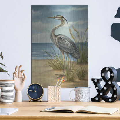 Luxe Metal Art 'Shore Bird II' by Ethan Harper Metal Wall Art,12x16