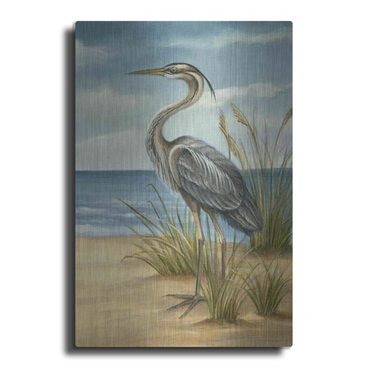 Luxe Metal Art 'Shore Bird II' by Ethan Harper Metal Wall Art