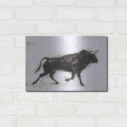 Luxe Metal Art 'Toro II' by Ethan Harper Metal Wall Art,16x12