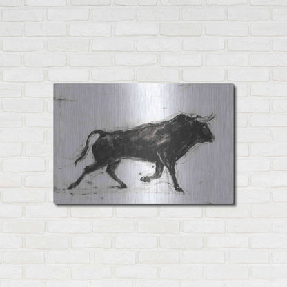 Luxe Metal Art 'Toro II' by Ethan Harper Metal Wall Art,36x24