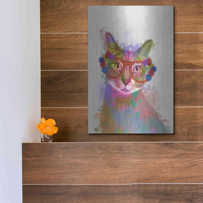 Luxe Metal Art 'Rainbow Splash Cat 1' by Fab Funky Metal Wall Art,12x16