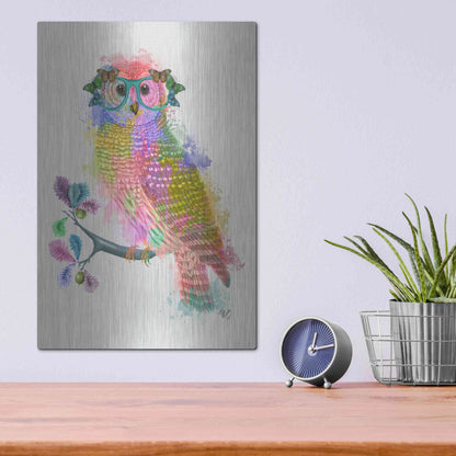 Luxe Metal Art 'Rainbow Splash Owl' by Fab Funky Metal Wall Art,12x16