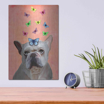 Luxe Metal Art 'White French Bulldog and Butterflies' by Fab Funky Metal Wall Art,12x16