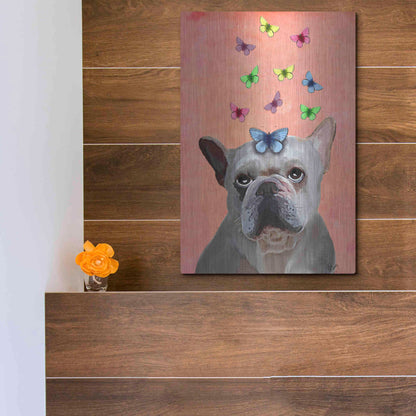 Luxe Metal Art 'White French Bulldog and Butterflies' by Fab Funky Metal Wall Art,12x16