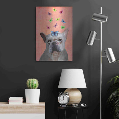 Luxe Metal Art 'White French Bulldog and Butterflies' by Fab Funky Metal Wall Art,16x24