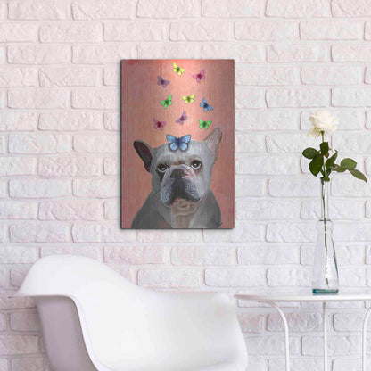 Luxe Metal Art 'White French Bulldog and Butterflies' by Fab Funky Metal Wall Art,16x24