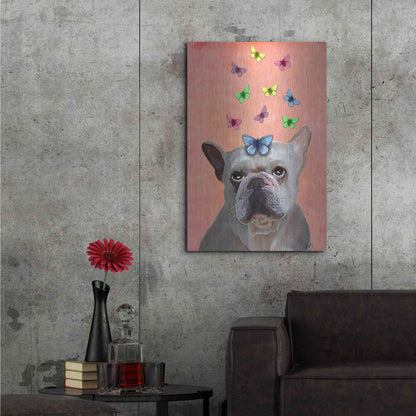 Luxe Metal Art 'White French Bulldog and Butterflies' by Fab Funky Metal Wall Art,24x36