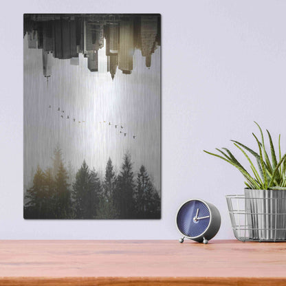 Luxe Metal Art 'Duality' by Nicklas Gustafsson, Metal Wall Art,12x16