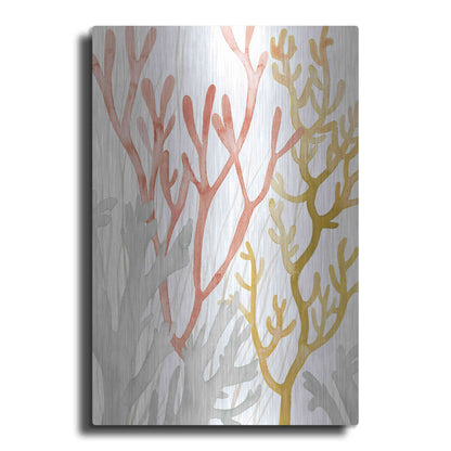 Luxe Metal Art 'Desert Coral I' by Grace Popp Metal Wall Art