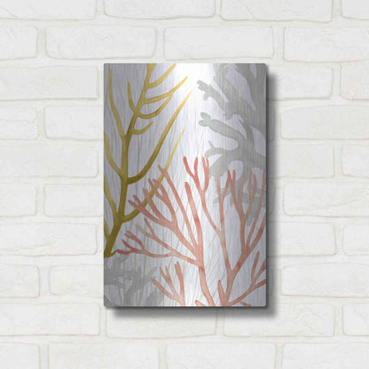 Luxe Metal Art 'Desert Coral II' by Grace Popp Metal Wall Art,12x16