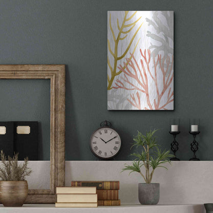 Luxe Metal Art 'Desert Coral II' by Grace Popp Metal Wall Art,12x16