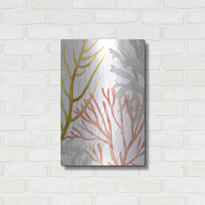 Luxe Metal Art 'Desert Coral II' by Grace Popp Metal Wall Art,16x24