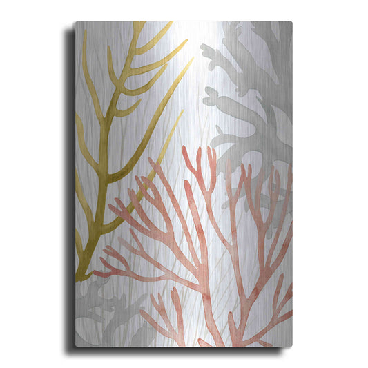 Luxe Metal Art 'Desert Coral II' by Grace Popp Metal Wall Art