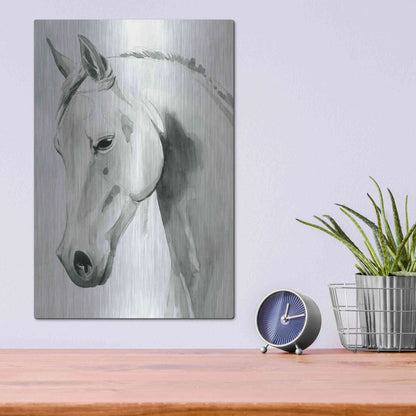 Luxe Metal Art 'Horse Whisper I' by Grace Popp Metal Wall Art,12x16