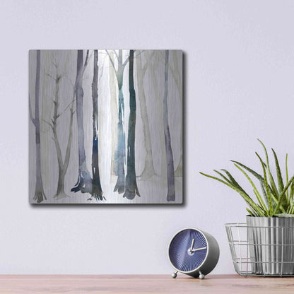 Luxe Metal Art 'In the Forest II' by Grace Popp Metal Wall Art,12x12