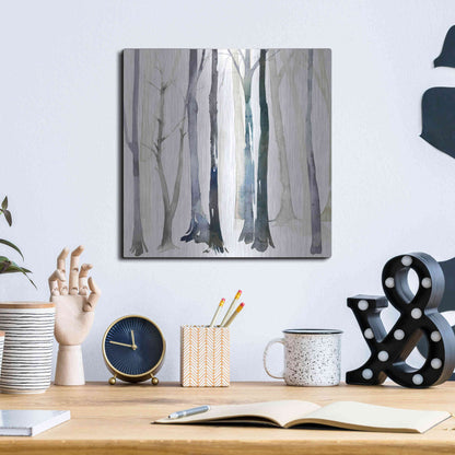 Luxe Metal Art 'In the Forest II' by Grace Popp Metal Wall Art,12x12