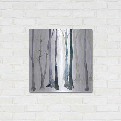 Luxe Metal Art 'In the Forest II' by Grace Popp Metal Wall Art,24x24