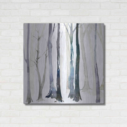 Luxe Metal Art 'In the Forest II' by Grace Popp Metal Wall Art,36x36
