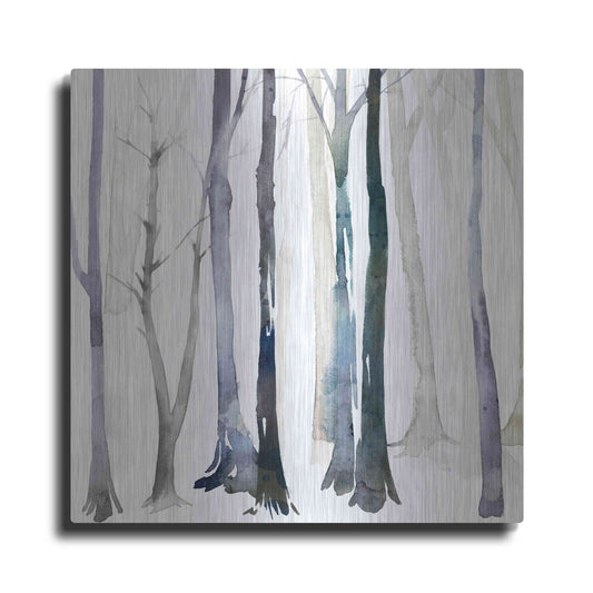 Luxe Metal Art 'In the Forest II' by Grace Popp Metal Wall Art