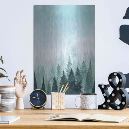 Luxe Metal Art 'Into the Trees I' by Grace Popp Metal Wall Art,12x16