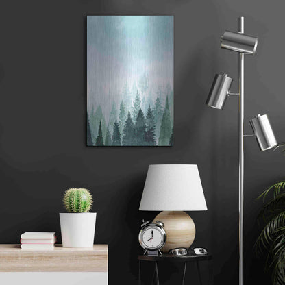 Luxe Metal Art 'Into the Trees I' by Grace Popp Metal Wall Art,16x24