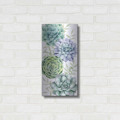 Luxe Metal Art 'Succulent Collection B' by Grace Popp Metal Wall Art,12x24