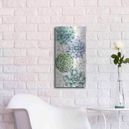 Luxe Metal Art 'Succulent Collection B' by Grace Popp Metal Wall Art,12x24