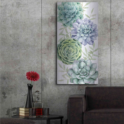 Luxe Metal Art 'Succulent Collection B' by Grace Popp Metal Wall Art,24x48