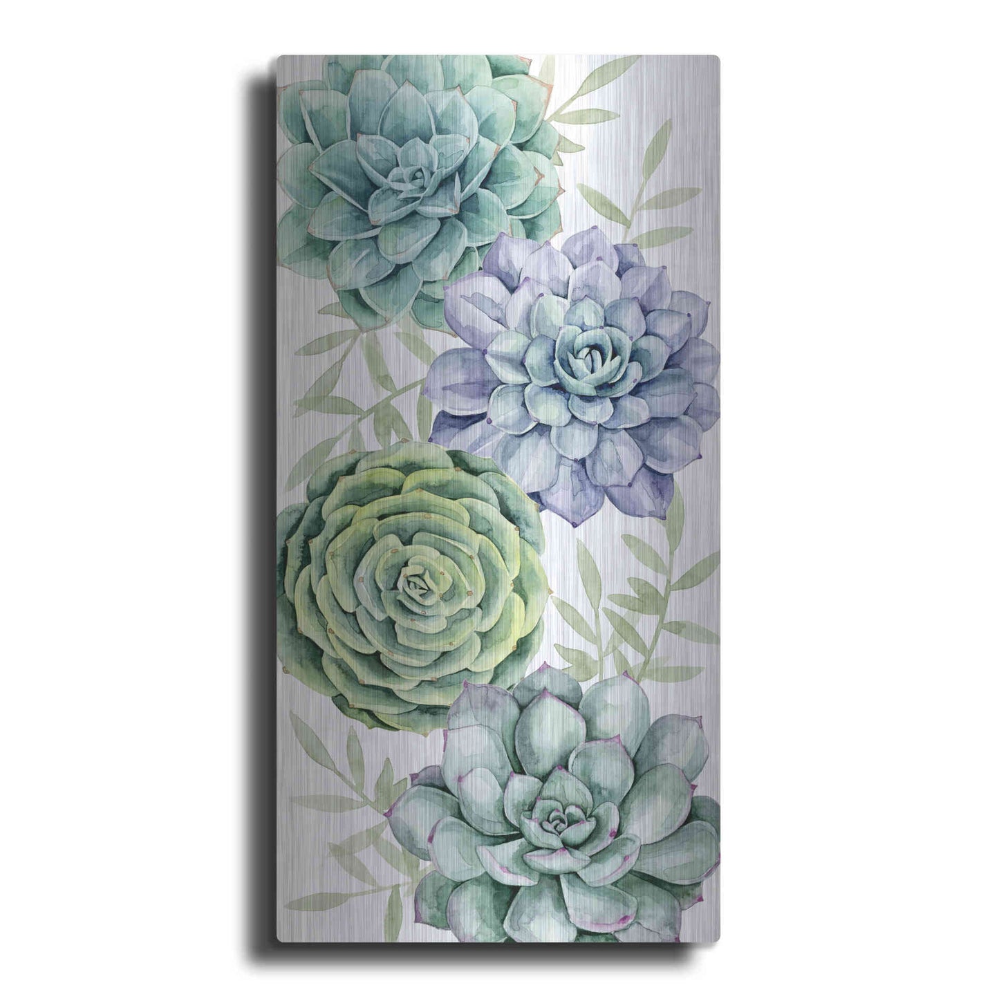 Luxe Metal Art 'Succulent Collection B' by Grace Popp Metal Wall Art