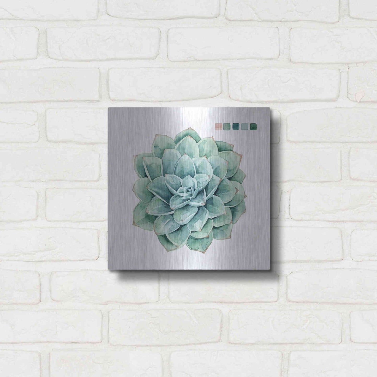 Luxe Metal Art 'Succulent I' by Grace Popp Metal Wall Art,12x12