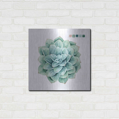 Luxe Metal Art 'Succulent I' by Grace Popp Metal Wall Art,24x24