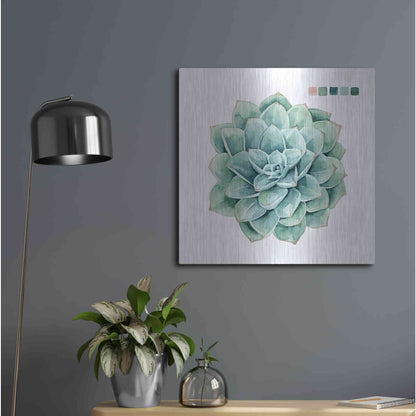Luxe Metal Art 'Succulent I' by Grace Popp Metal Wall Art,24x24