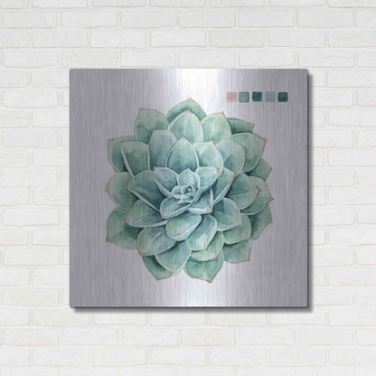 Luxe Metal Art 'Succulent I' by Grace Popp Metal Wall Art,36x36