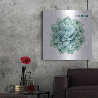Luxe Metal Art 'Succulent I' by Grace Popp Metal Wall Art,36x36