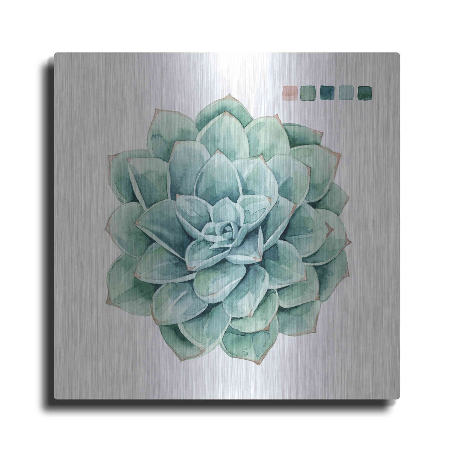 Luxe Metal Art 'Succulent I' by Grace Popp Metal Wall Art