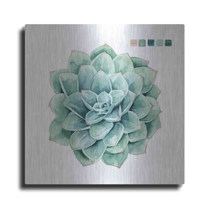 Luxe Metal Art 'Succulent I' by Grace Popp Metal Wall Art