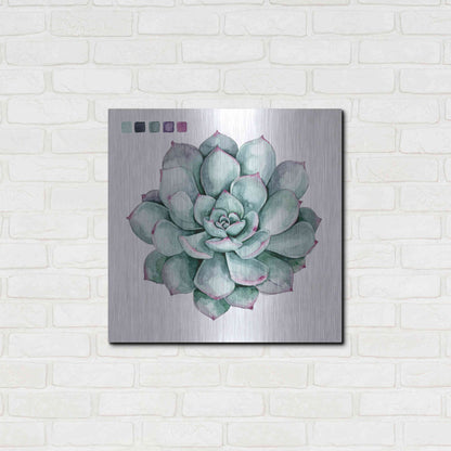 Luxe Metal Art 'Succulent II' by Grace Popp Metal Wall Art,24x24