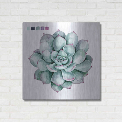 Luxe Metal Art 'Succulent II' by Grace Popp Metal Wall Art,36x36