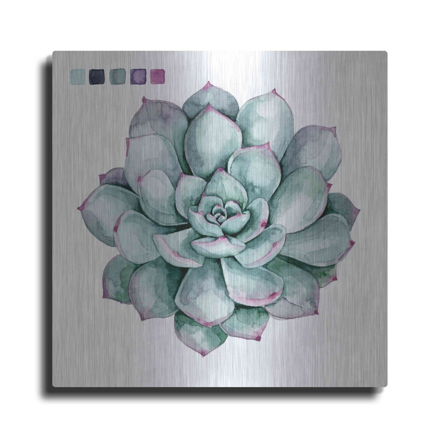 Luxe Metal Art 'Succulent II' by Grace Popp Metal Wall Art